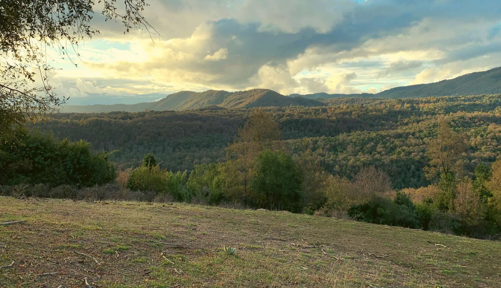 Panoramica1